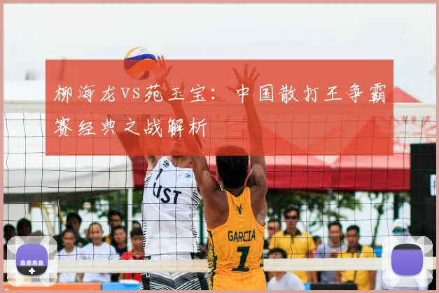 柳海龙vs苑玉宝：中国散打王争霸赛经典之战解析