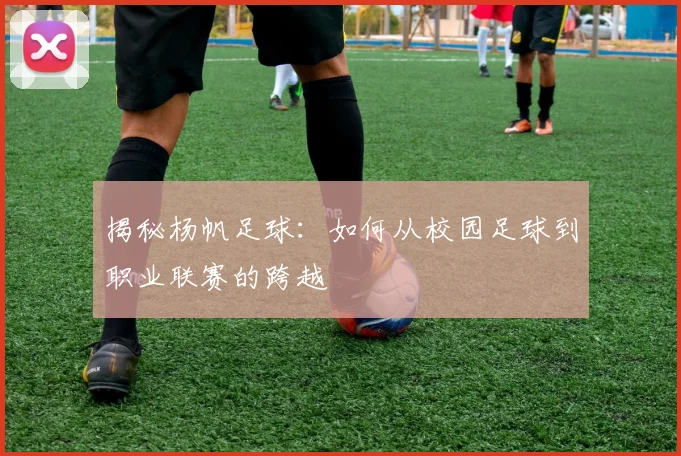 揭秘杨帆足球：如何从校园足球到职业联赛的跨越