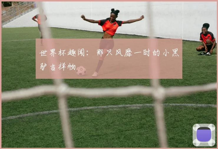 世界杯趣闻：那只风靡一时的小黑驴吉祥物